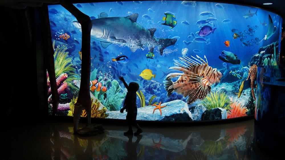 05. Sea Life Bangkok Ocean World