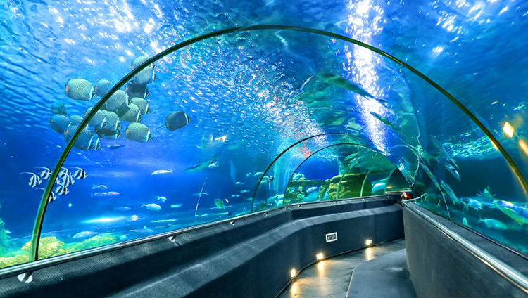 vinpearl-land-nha-trang
