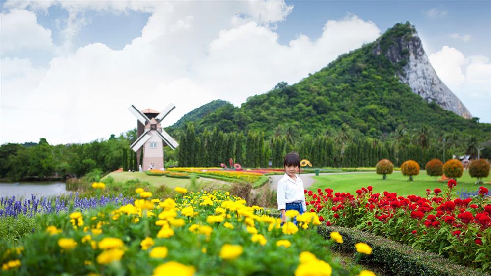 01. Thăm vườn nho Silver Lake - 4 km từ núi Phật Vàng