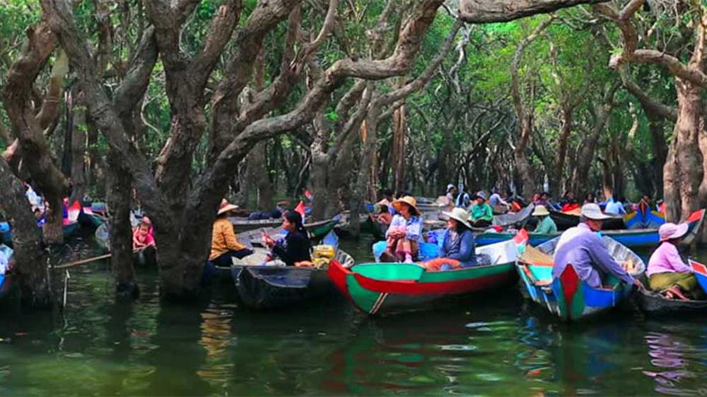 05. Tham quan rừng đước