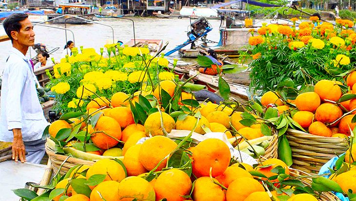 Tour tham quan Cái Bè - Cù Lao Tân Phong (1 ngày)