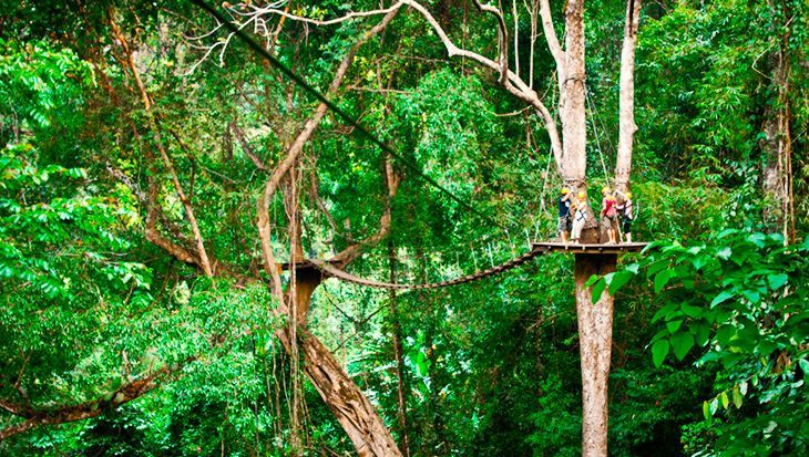 du day bang rung choompo - flight gibbon chiangmai