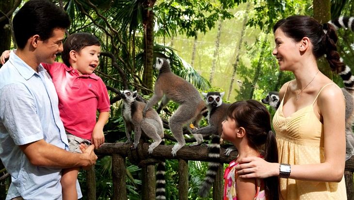 Ăn sáng giữa rừng già tại Singapore Zoo
