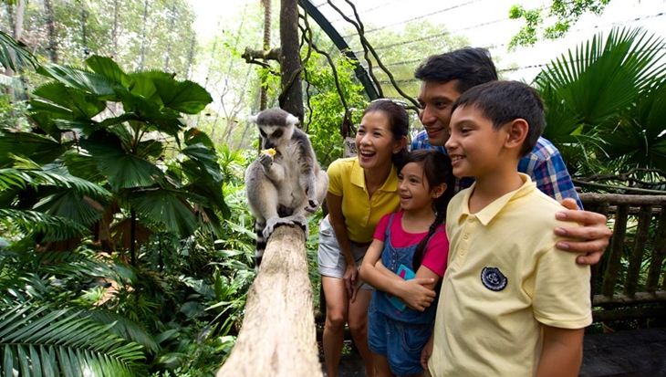 Ăn sáng giữa rừng già tại Singapore Zoo
