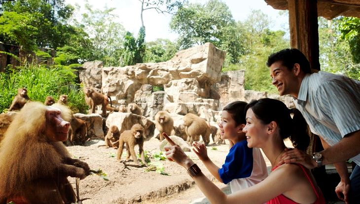 Ăn sáng giữa rừng già tại Singapore Zoo