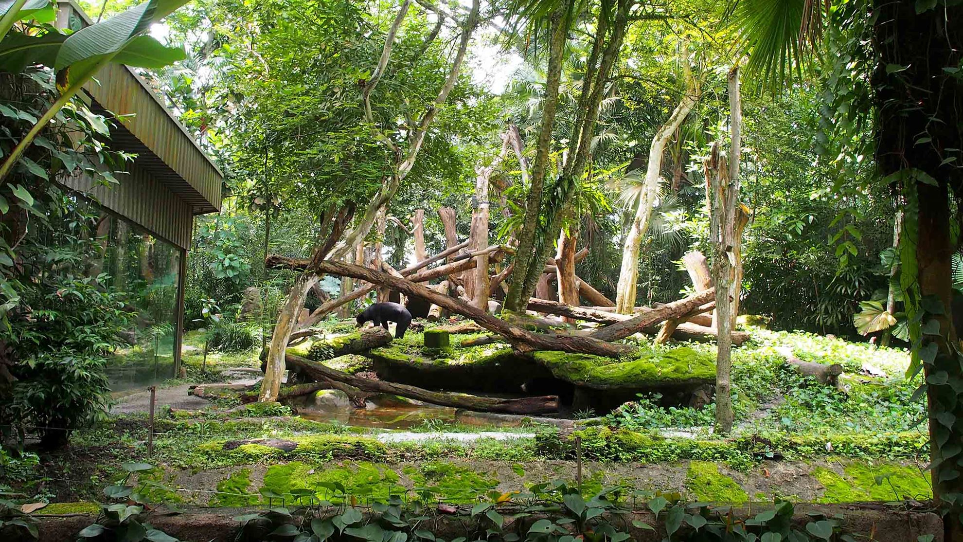 Hình của danh mục Sở thú Singapore - Singapore Zoo