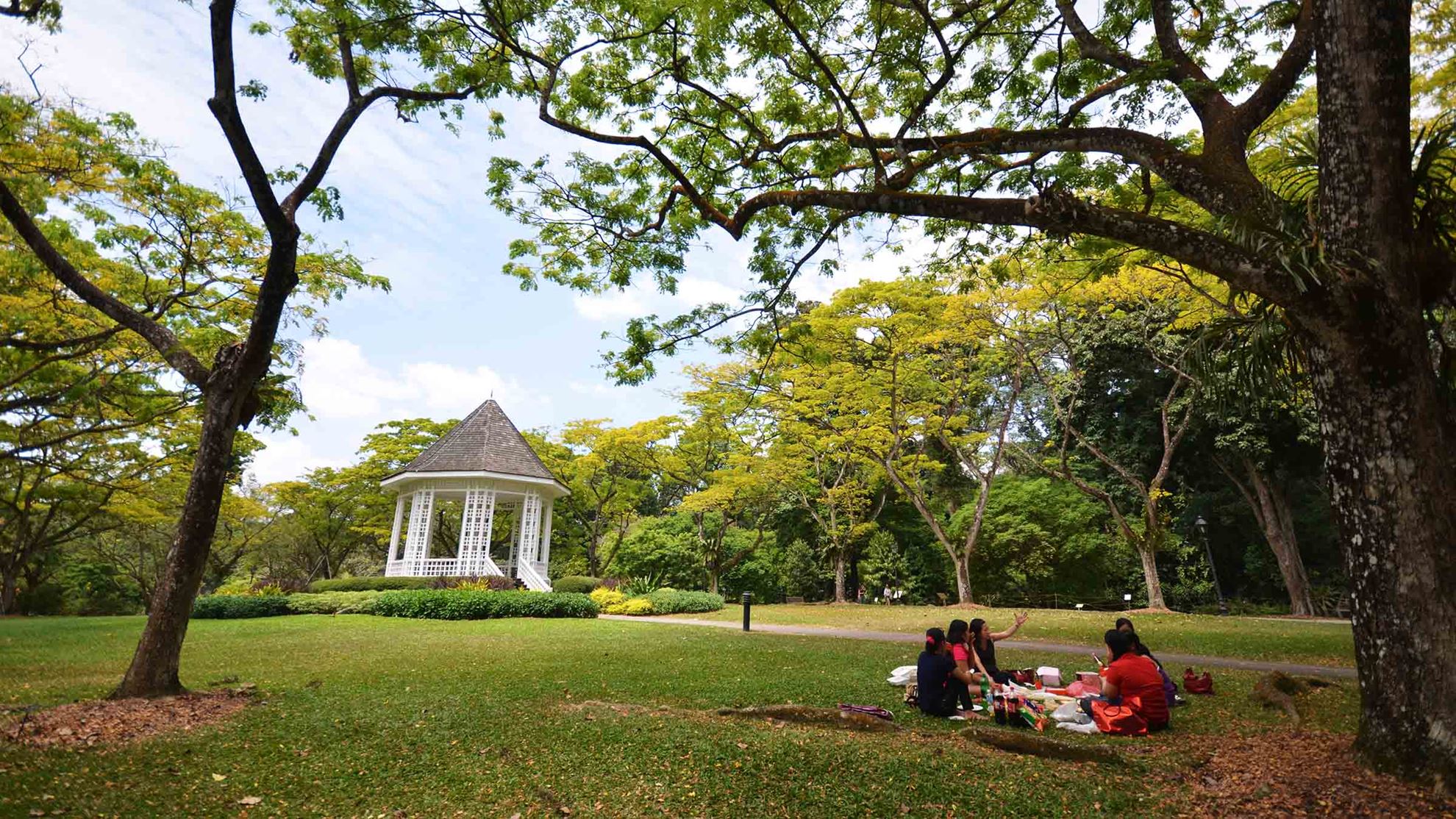 Hình của danh mục Vườn bách thảo Singapore Botanic Gardens