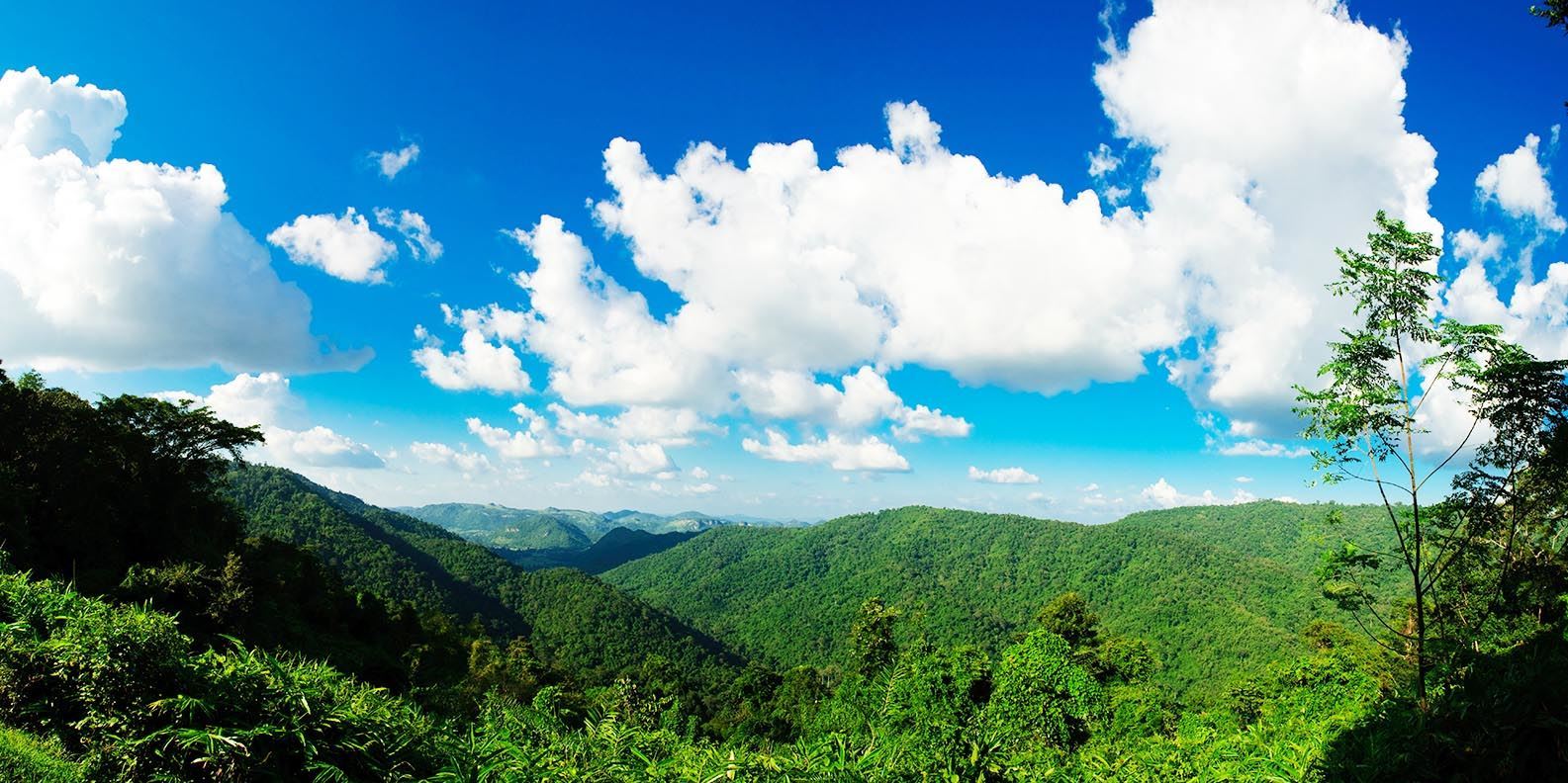 Tour tham quan công viên quốc gia Khao Yai