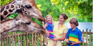 Ăn sáng giữa rừng già tại Singapore Zoo