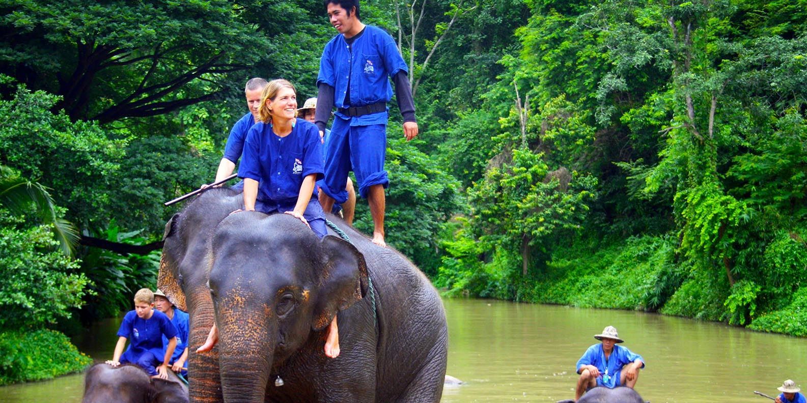 Tour Cưỡi Voi Thám Hiểm Rừng Già Chiang Mai 