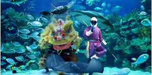 Hình của Vé Aquaria KLCC