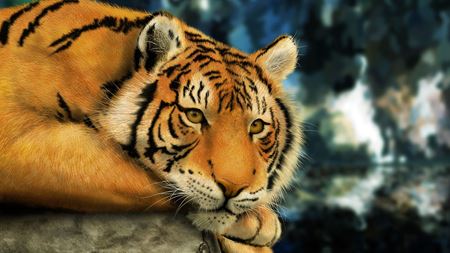 Hình của danh mục Samui Aquarium and Tiger Zoo