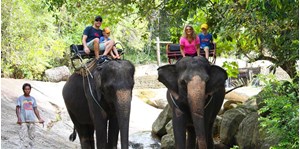 Hình của Tour cưỡi voi tại Namuang Safari Park