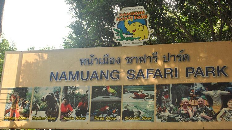 Tour cưỡi voi tại Namuang Safari Park