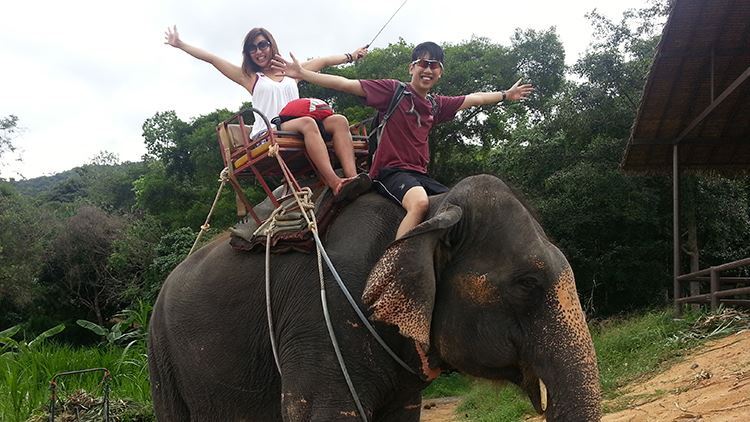 Tour cưỡi voi tại Namuang Safari Park