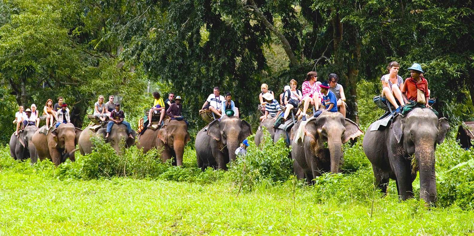 Tour du lịch sinh thái và ngắm cảnh Koh Samui