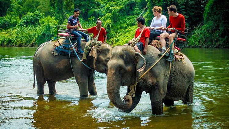 Tour cưỡi voi và xem trình diễn Hua Hin