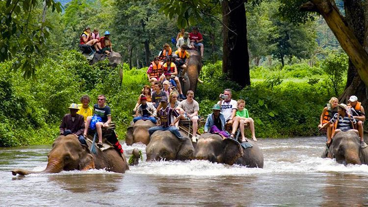 Tour cưỡi voi và xem trình diễn Hua Hin