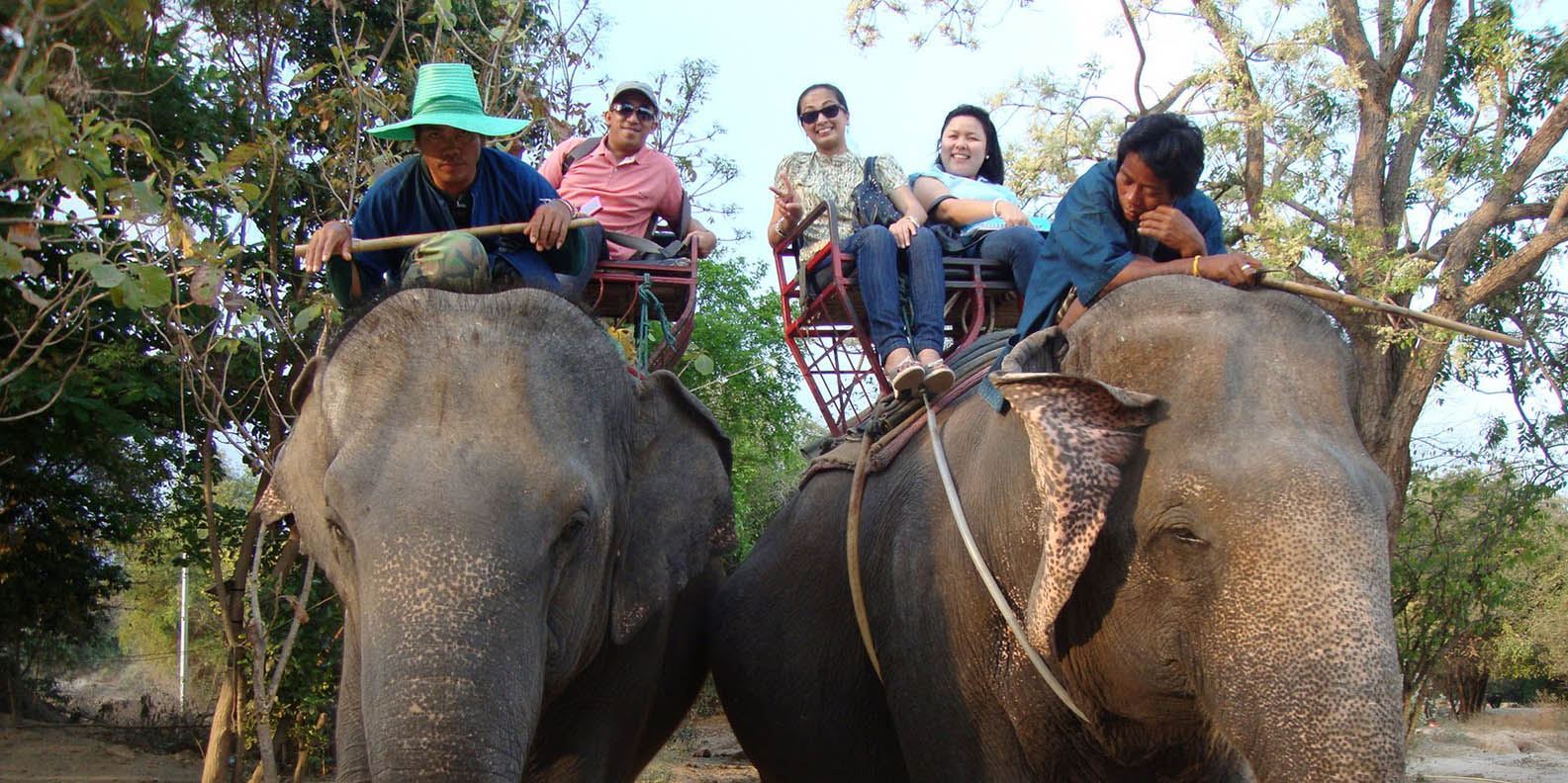 Tour cưỡi voi và xem trình diễn Hua Hin