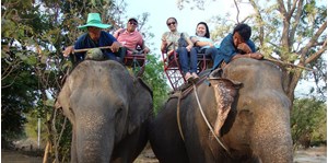 Hình của Tour cưỡi voi và xem trình diễn Hua Hin