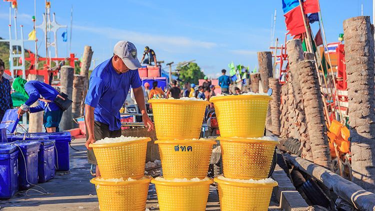 Đạp xe khám phá làng quê Hua Hin
