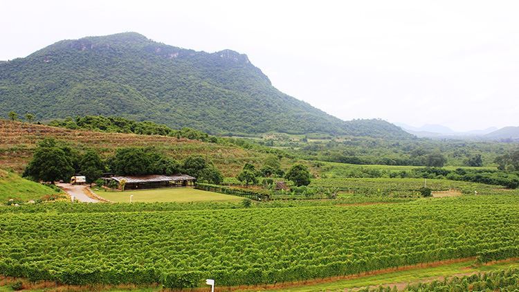 Đạp xe khám phá làng quê Hua Hin