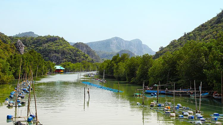 Tour tham quan Khao Sam Roi Yod National Park