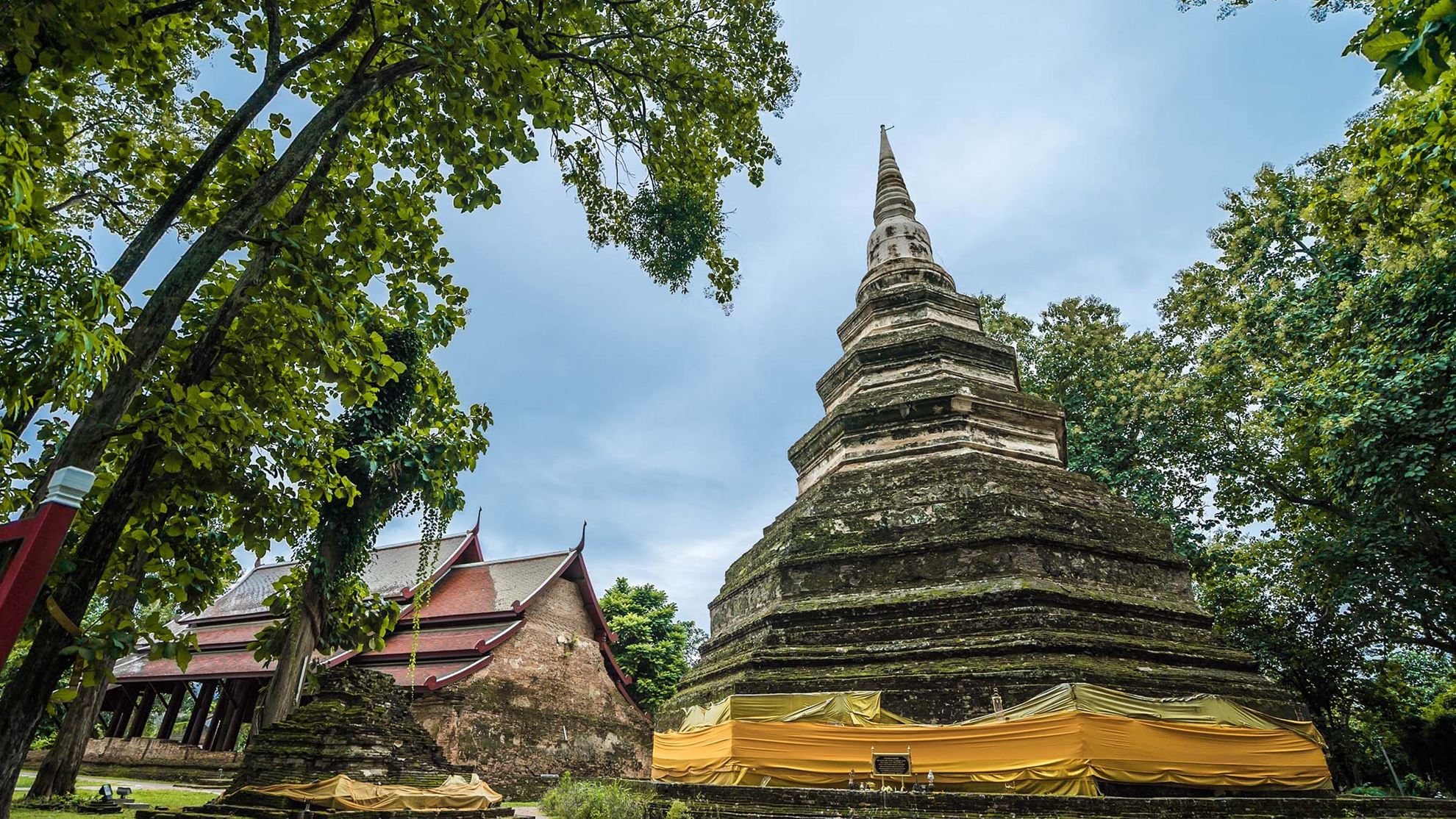 Hiển thị sản phẩm của danh mục Chiang Rai