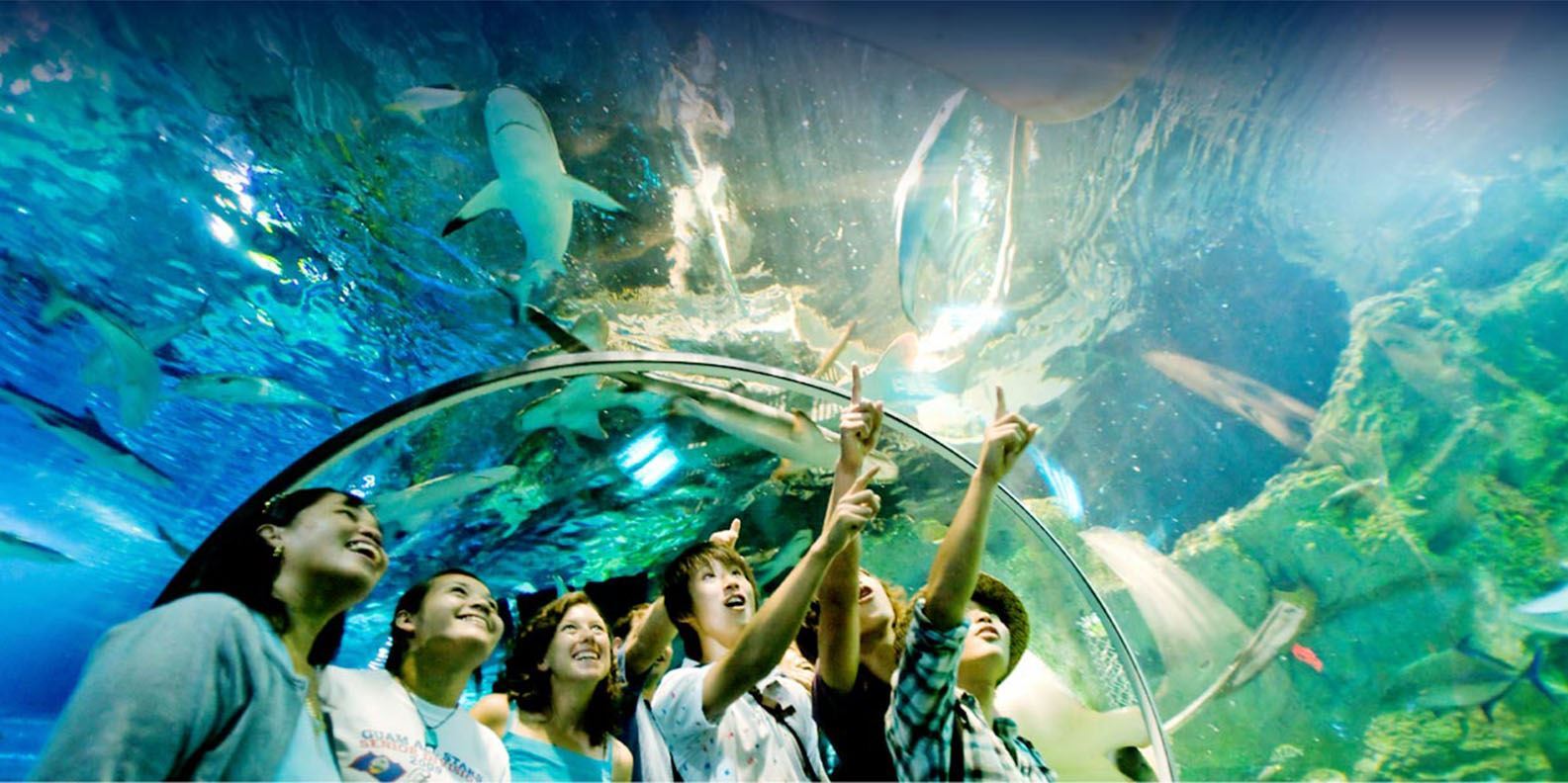 Tour khám phá Underwater World Pattaya