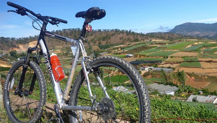 Đạp xe chinh phục thung lũng Vàng Đà Lạt