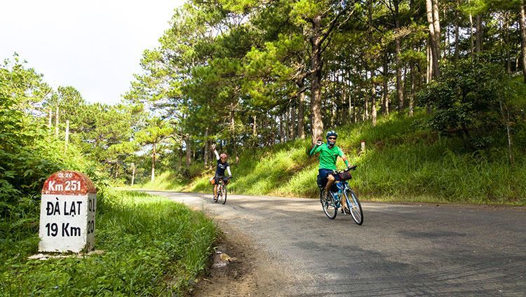 Đạp xe chinh phục thung lũng Vàng Đà Lạt