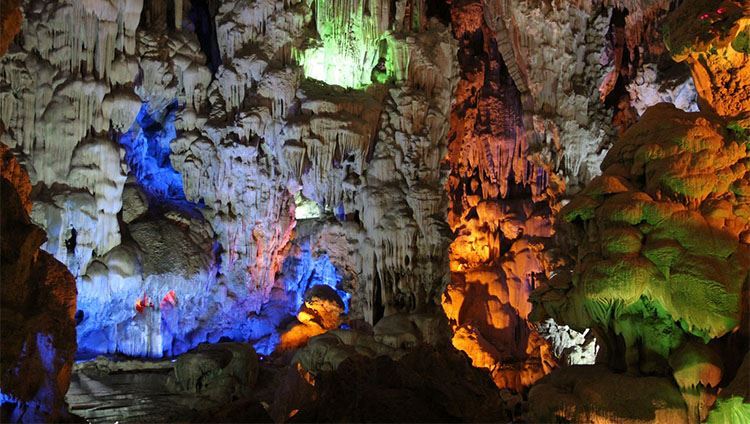 Tour động Phong Nha - động Thiên Đường