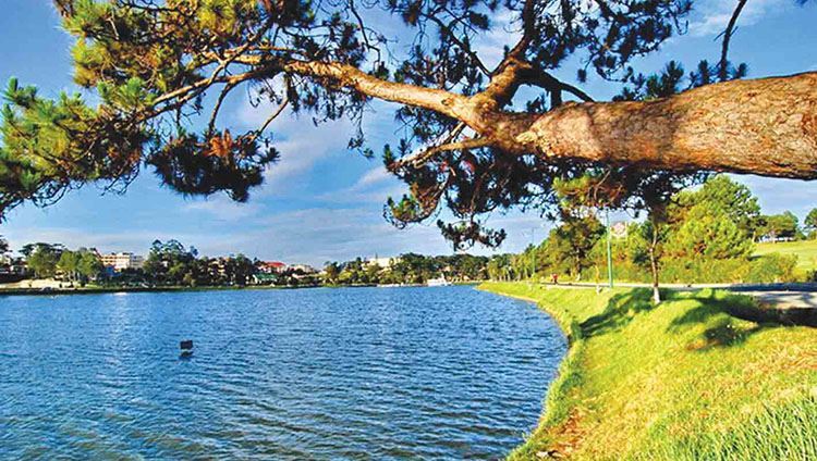 Tour Langbiang Đà Lạt