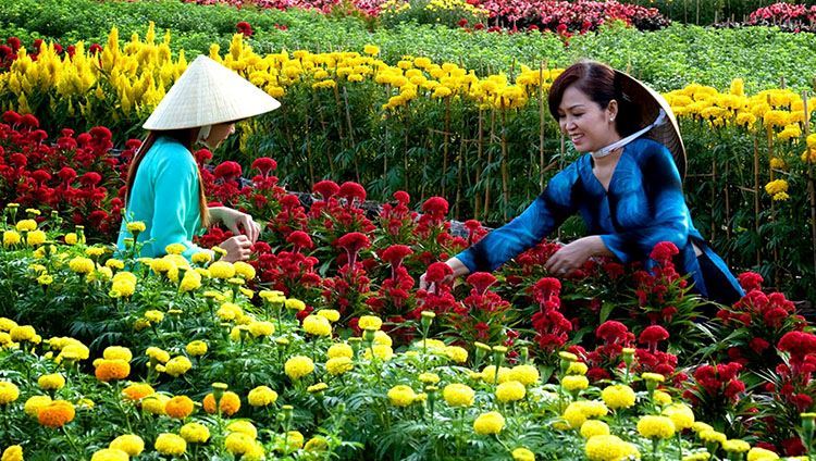 Tour tham quan làng Cù Lần - Ma Rừng Lữ Quán