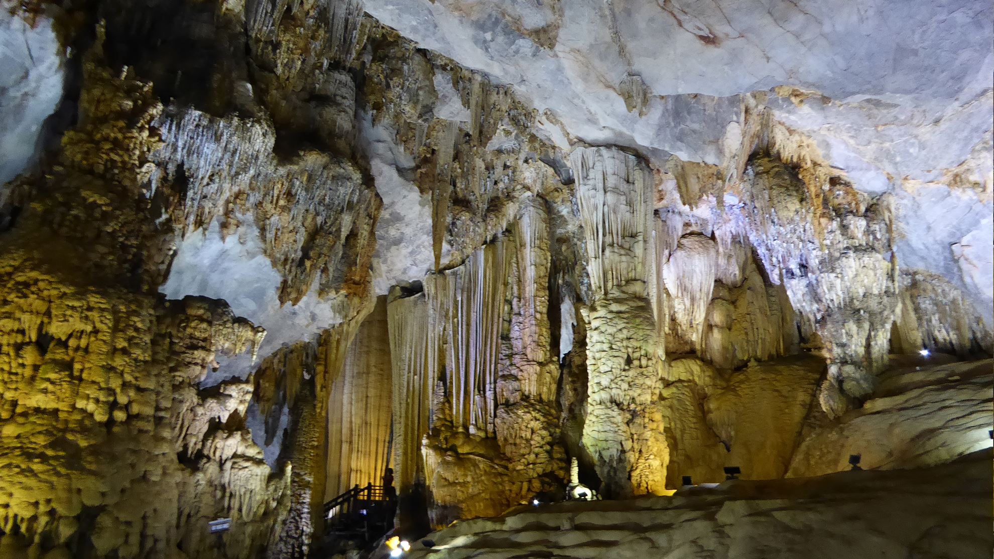 Hình của danh mục Động Phong Nha