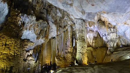 Hình của danh mục Động Phong Nha
