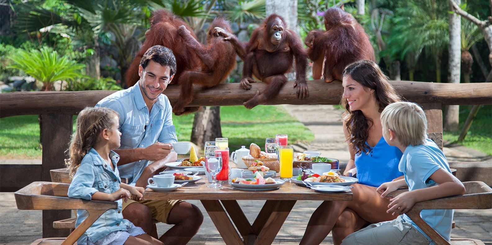 Thưởng thức bữa sáng rừng xanh tại Bali Zoo