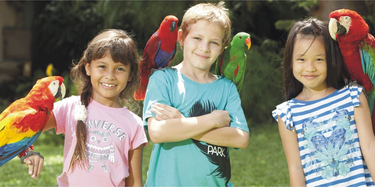 Vé Bali Bird Park