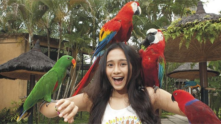 Vé Bali Bird Park 