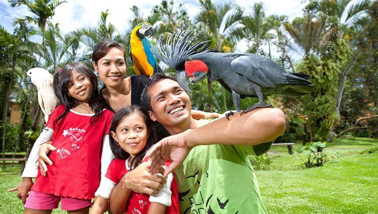 Vé Bali Bird Park
