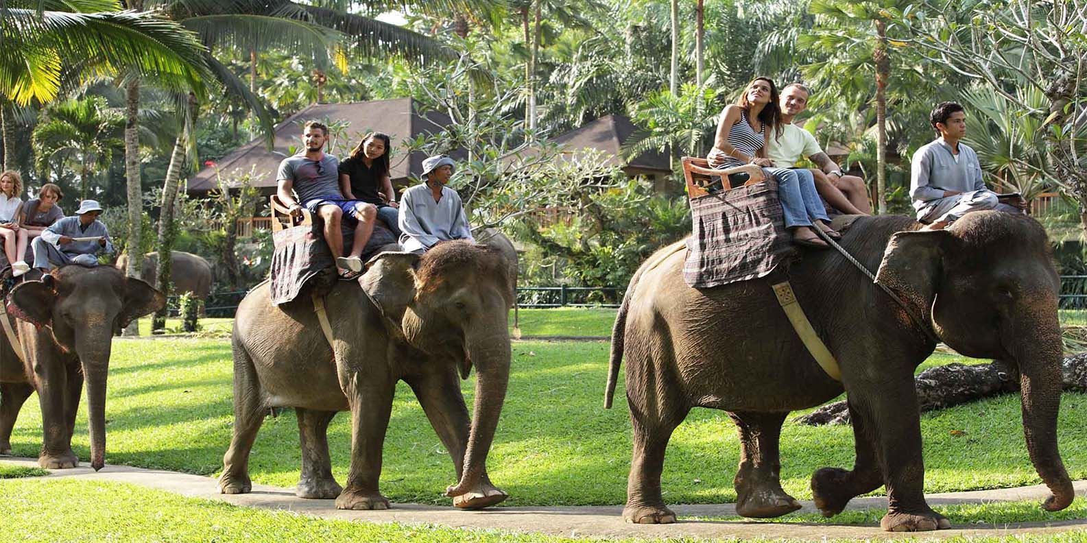 Vé Elephant Safari Park 