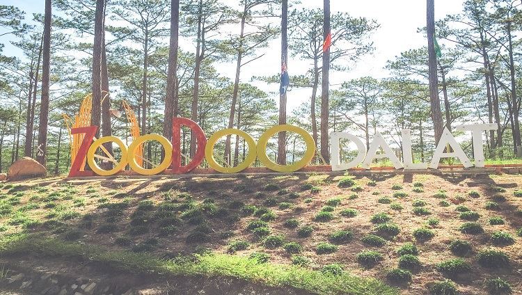 Tour Zoodoo  Nông trại Đà Lạt