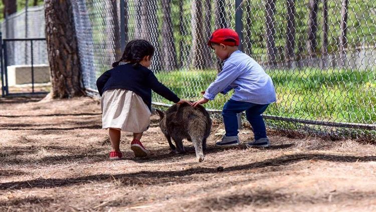 Tour Zoodoo  Nông trại Đà Lạt