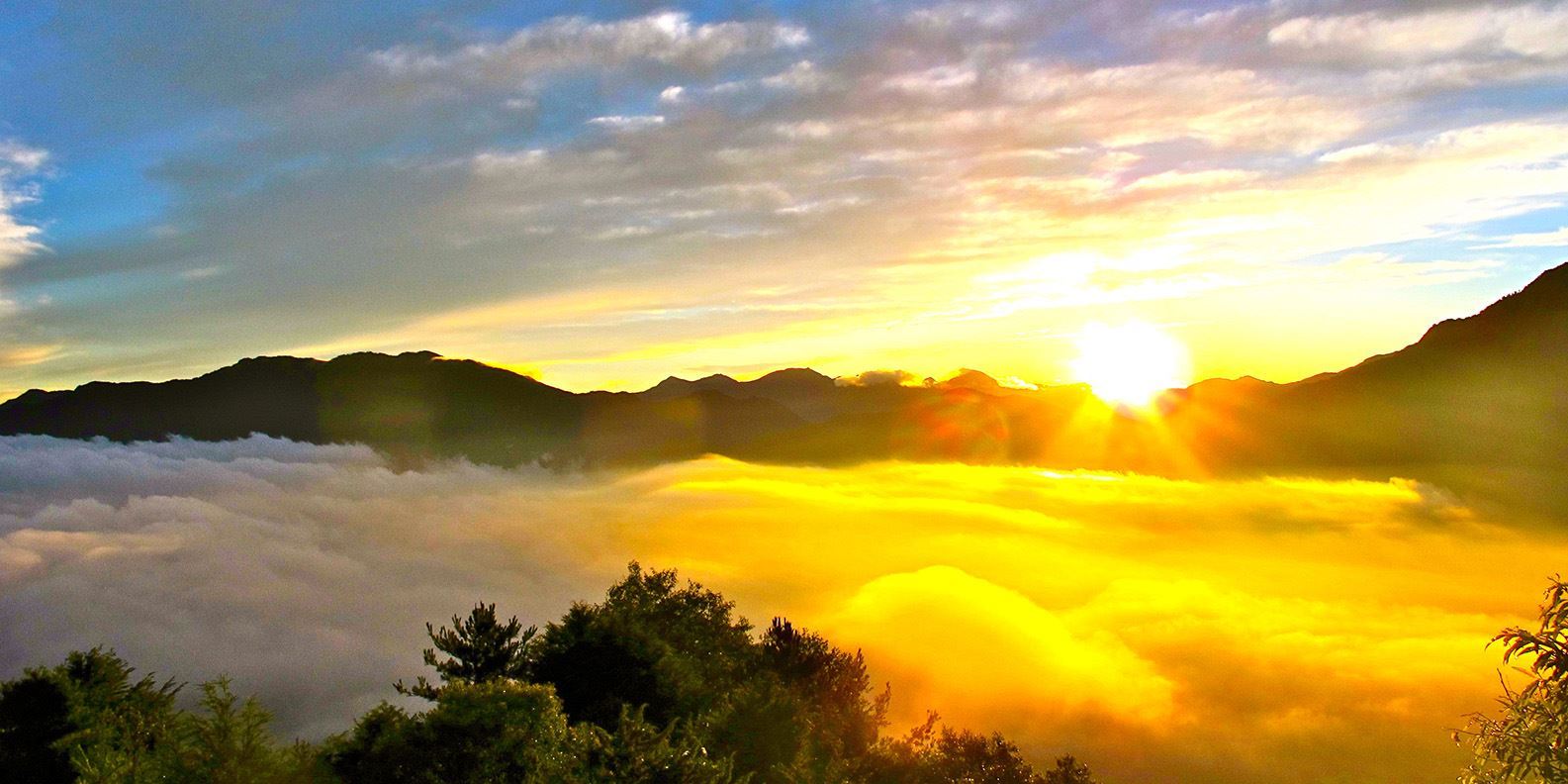 Tour Alishan Mountain - khám phá A Lý Sơn