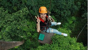 Tour Jungle Flight Chiangmai