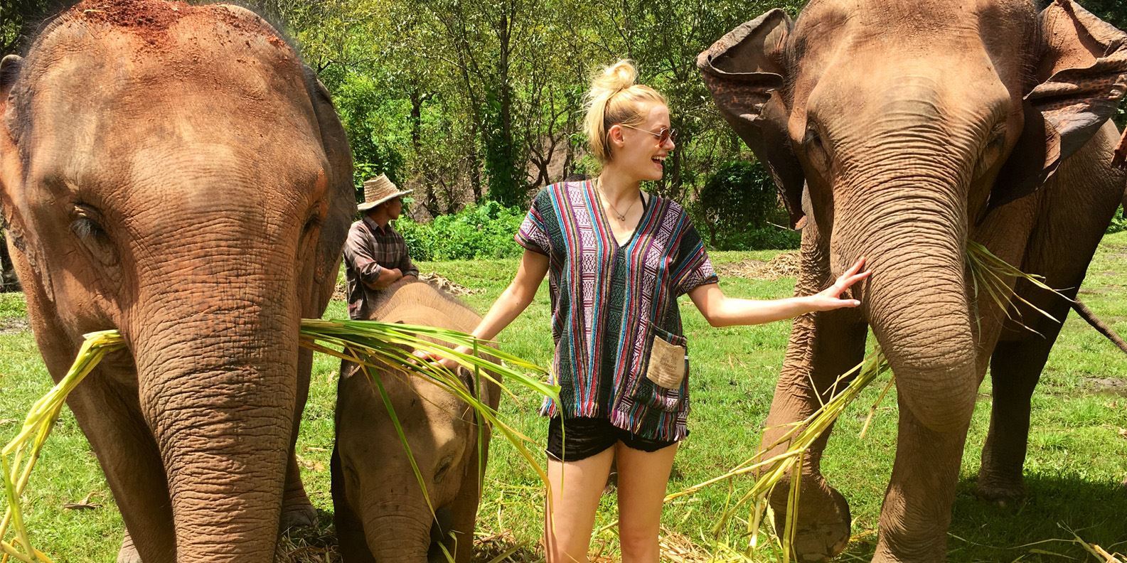Elephant Jungle Sanctuary Chiang Mai