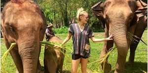 Elephant Jungle Sanctuary Chiang Mai