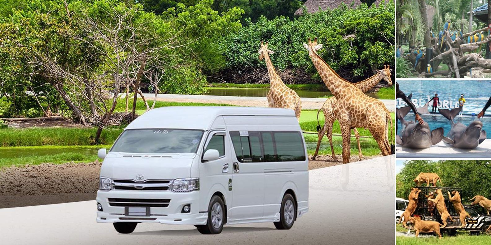 Xe đưa đón Safari World Bangkok
