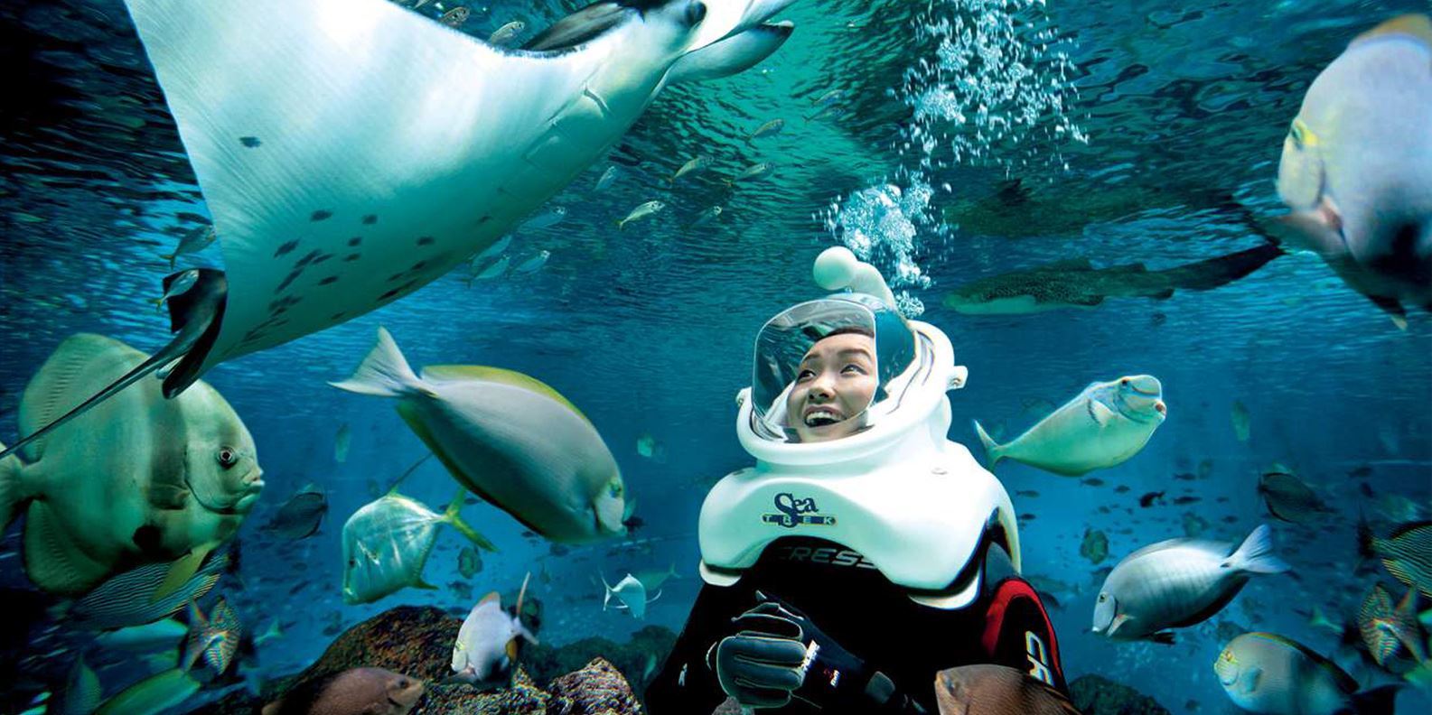 Vé Ultimate Marine Encounters