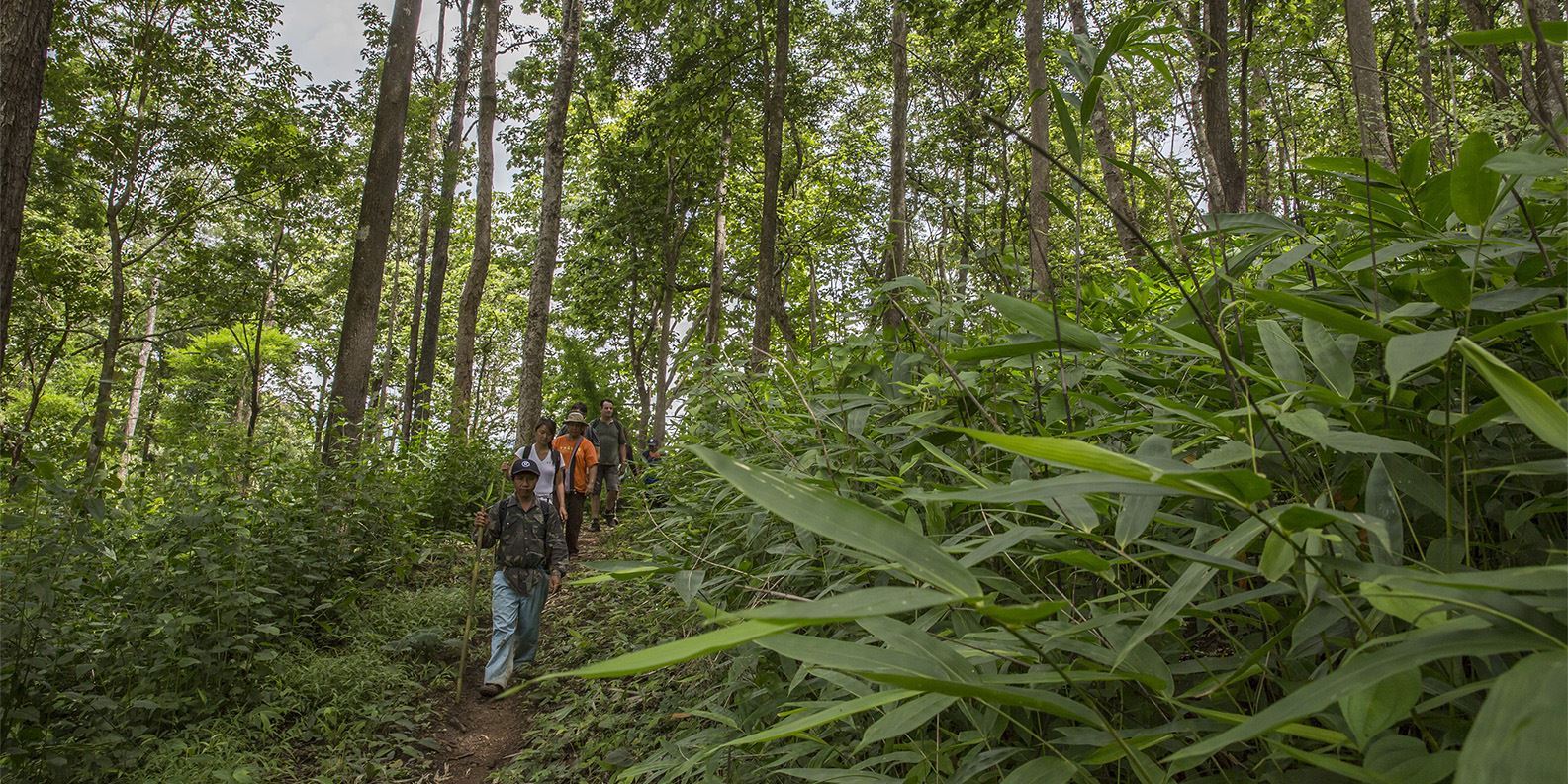 Tour trekking đồi Doi Pui